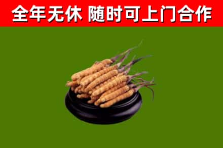 稷山县烟酒回收冬虫夏草.jpg